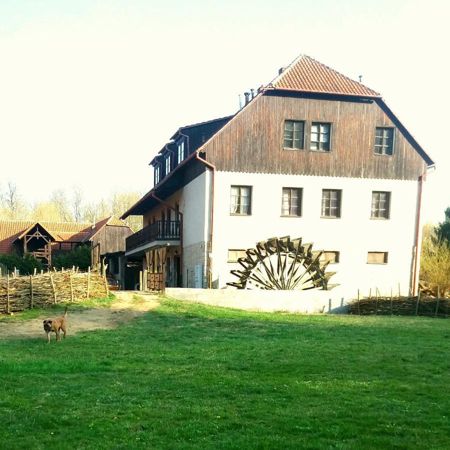 Kratochviluv Mlyn Hotel Cervena Lhota  Bagian luar foto
